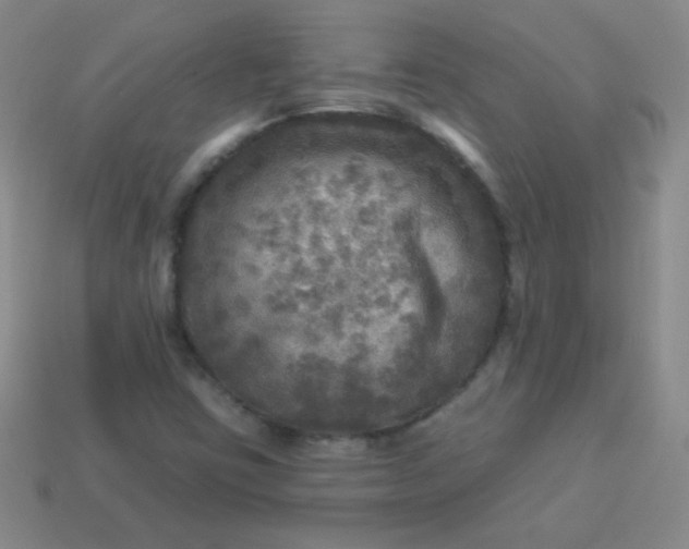 X0000113961403200910091620