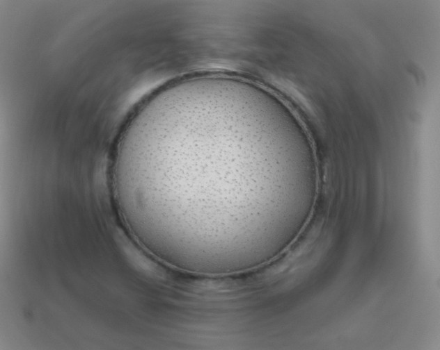 X0000113961404200910091620