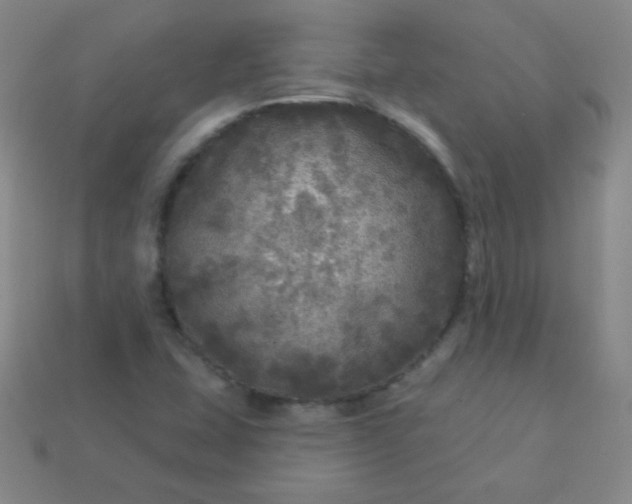 X0000113961407200910091620