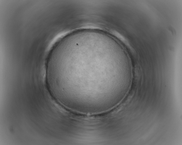 X0000113961408200910091620