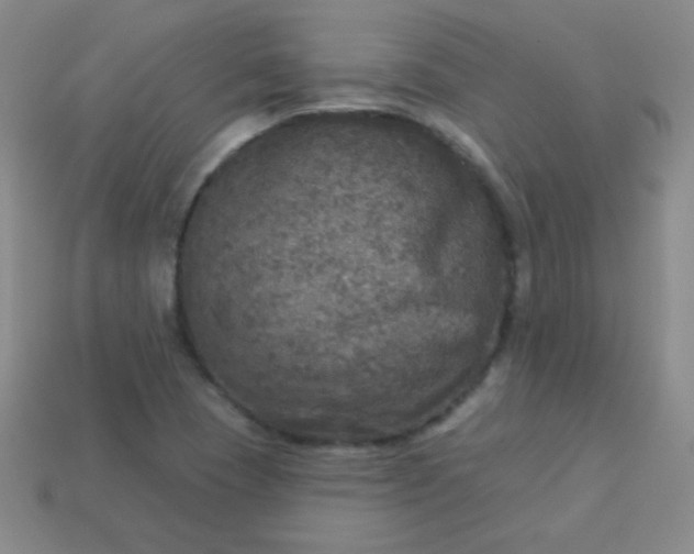 X0000113961409200910091620