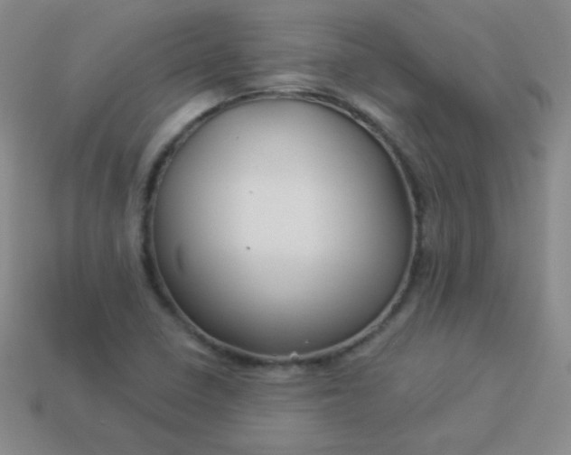 X0000113961410200910091620