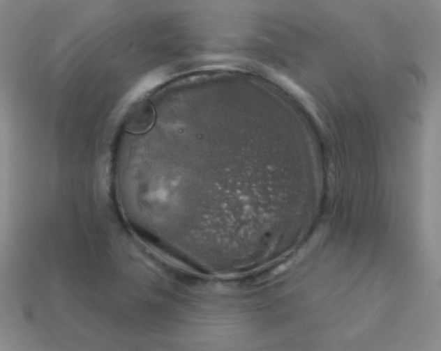 X0000113961411200910091620