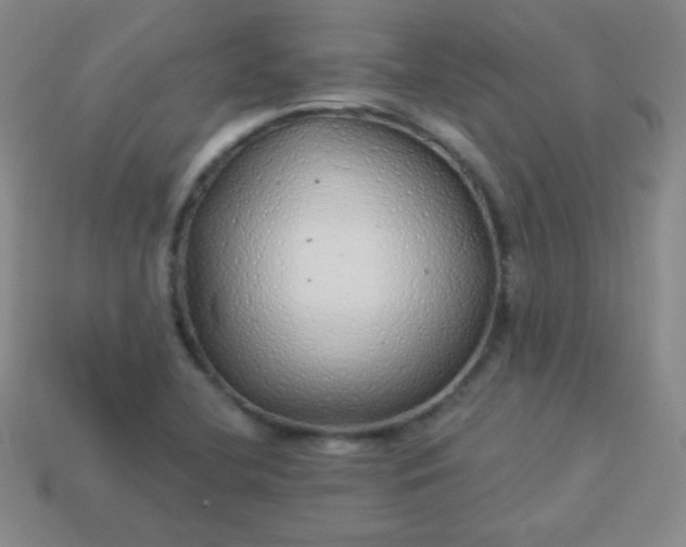 X0000113961412200910091620