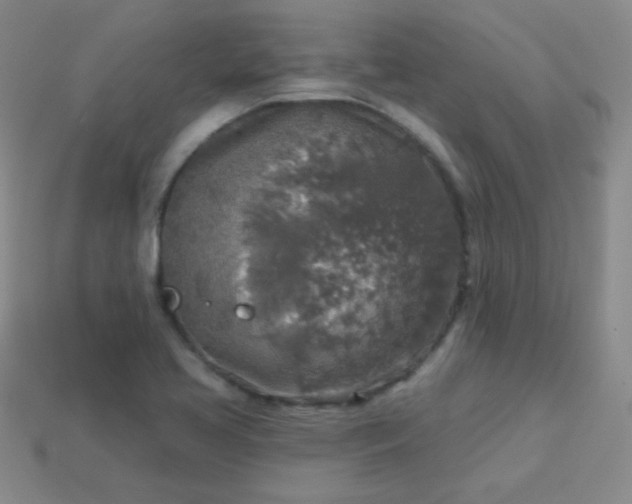 X0000113961413200910091620