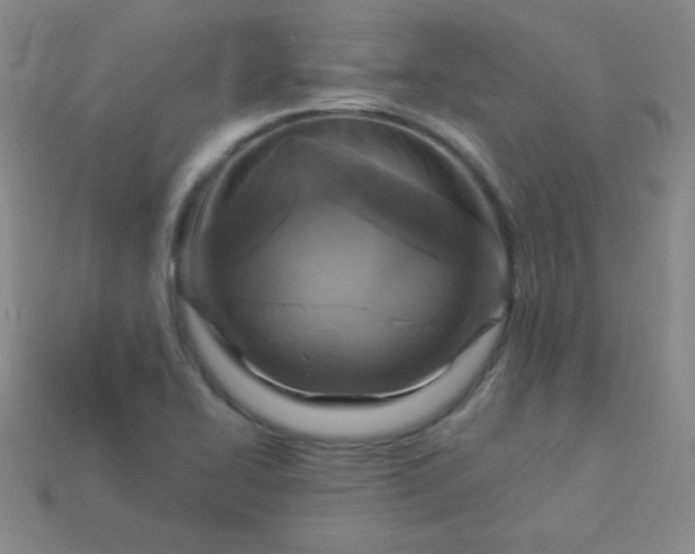 X0000113961414200910091620