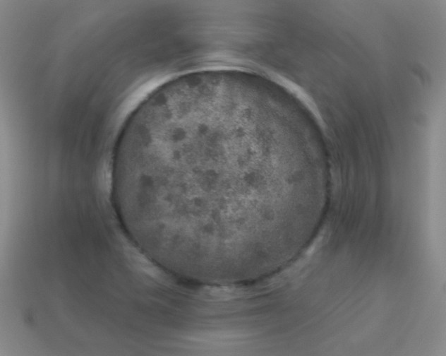 X0000113961415200910091620