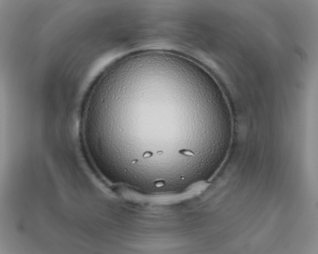 X0000113961416200910091620