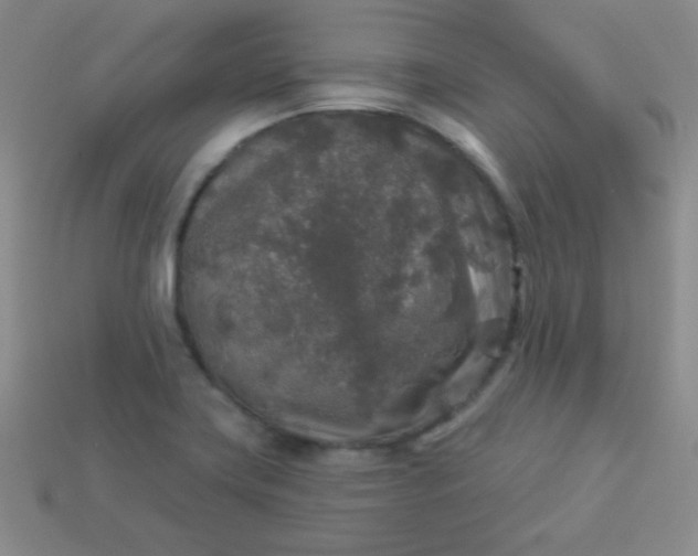 X0000113961419200910091620