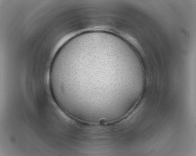 X0000113961420200910091620