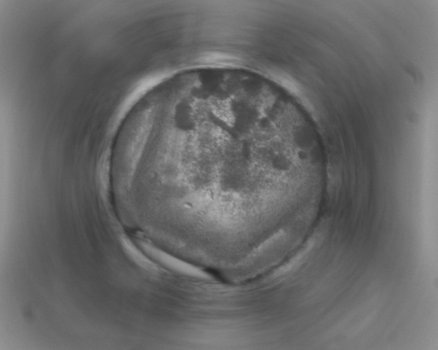 X0000113961421200910091620