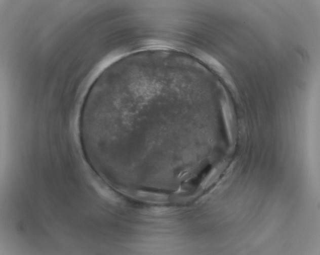 X0000113961427200910091620