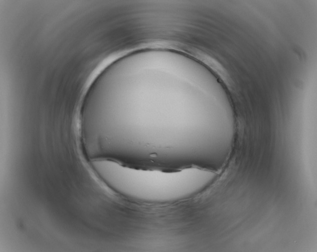 X0000113961428200910091620