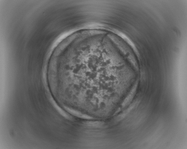 X0000113961429200910091620