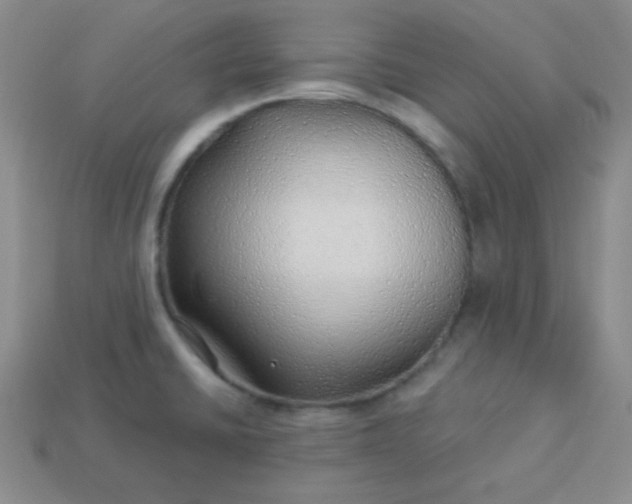 X0000113961430200910091620