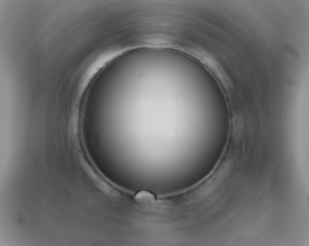 X0000113961432200910091620