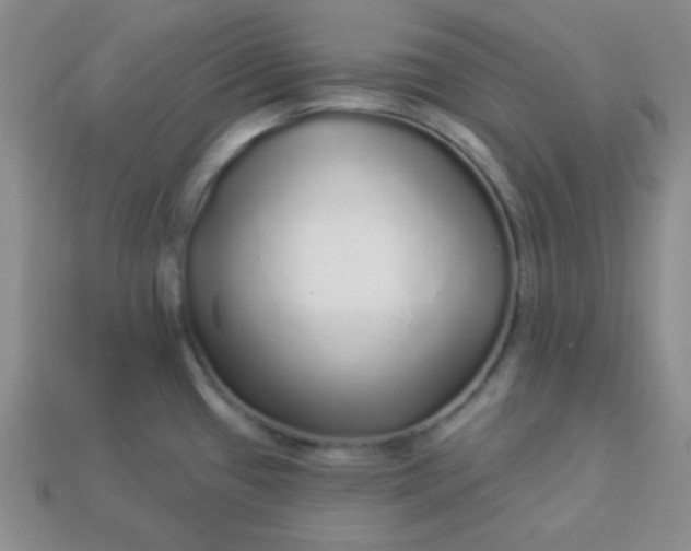 X0000113961433200910091620