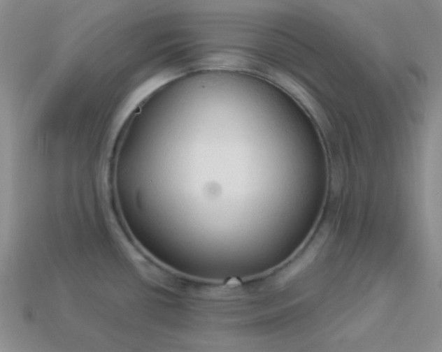 X0000113961434200910091620