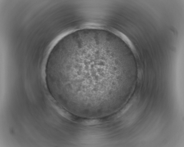 X0000113961435200910091620