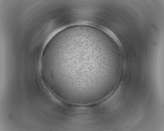 X0000113961436200910091620