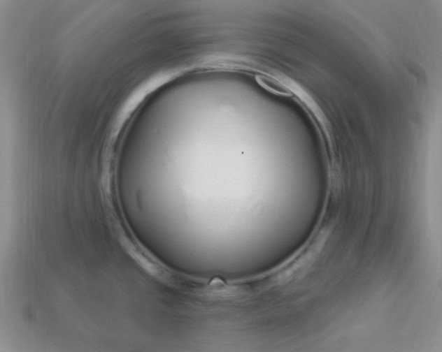 X0000113961437200910091620