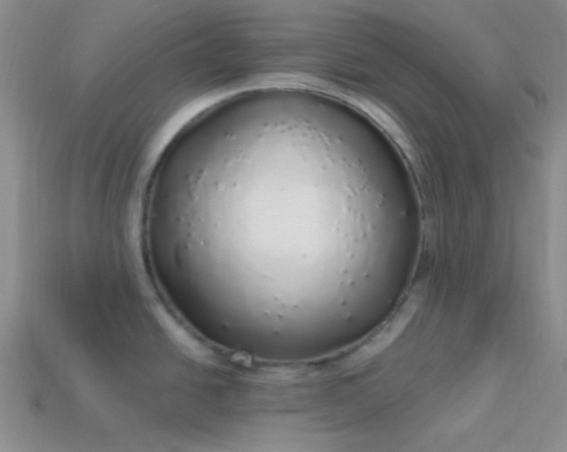 X0000113961438200910091620