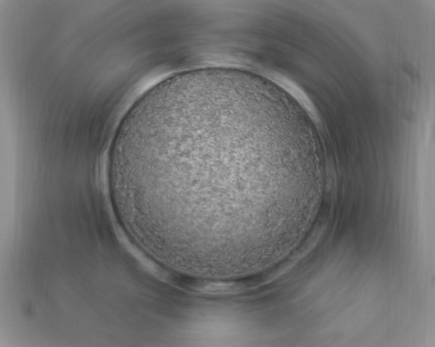 X0000113961439200910091620