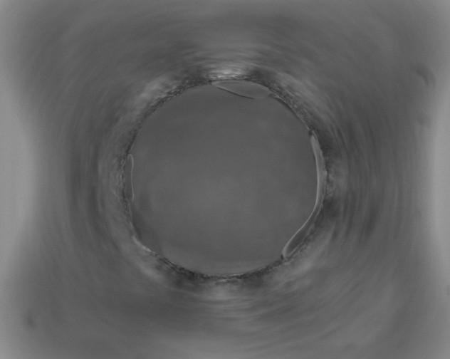 X0000113961441200910091619