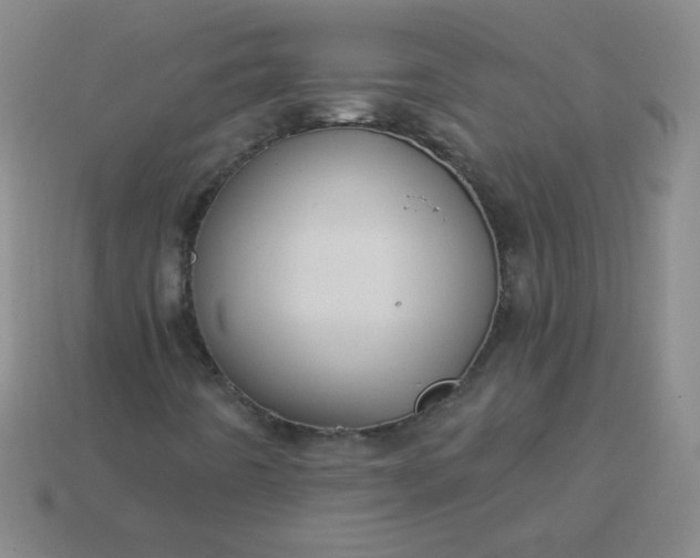 X0000113961442200910091619