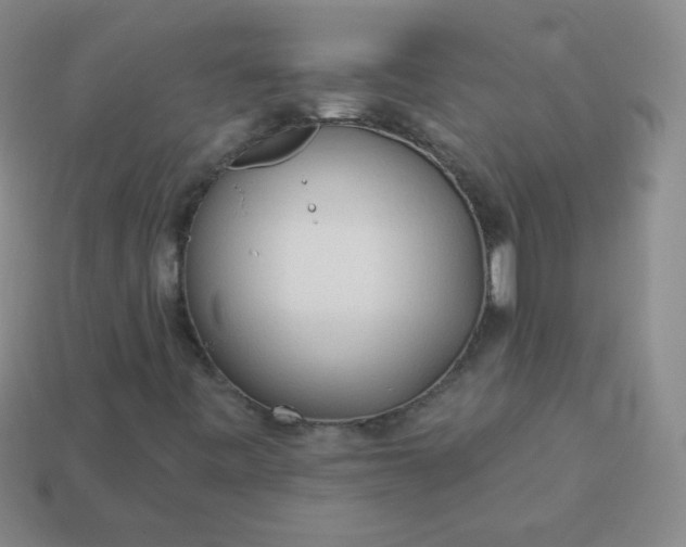 X0000113961443200910091619