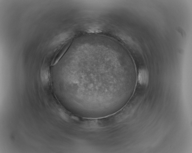 X0000113961444200910091619