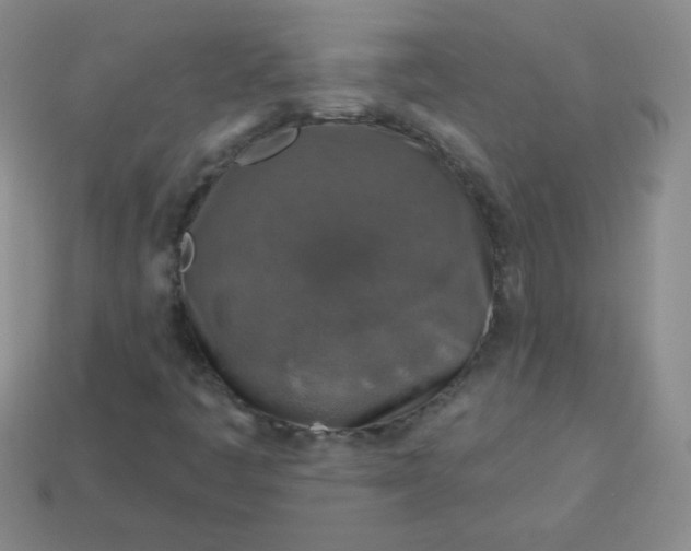 X0000113961445200910091619