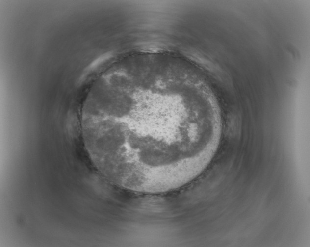 X0000113961446200910091619