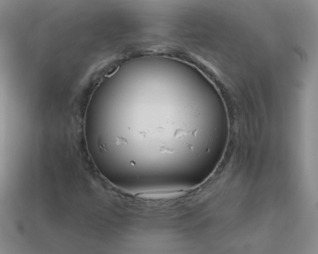 X0000113961447200910091619