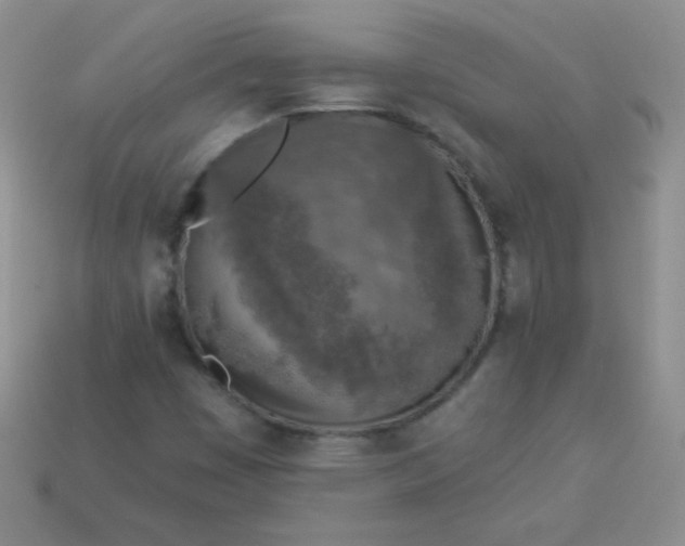 X0000113961449200910091619