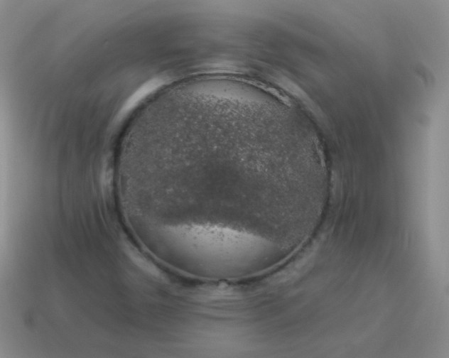 X0000113961450200910091619