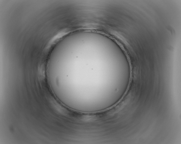 X0000113961451200910091619