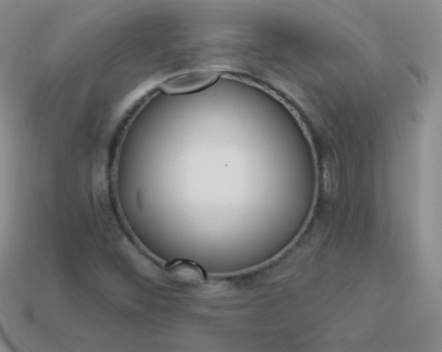 X0000113961452200910091619