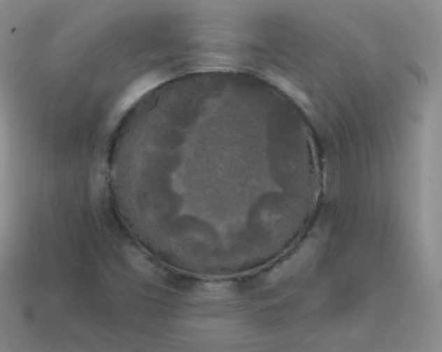 X0000113961453200910091619