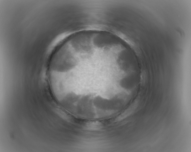 X0000113961454200910091619