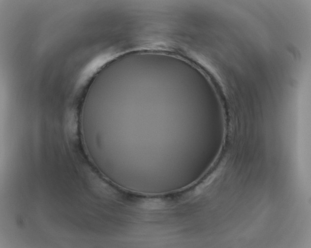 X0000113961455200910091619