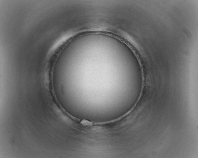 X0000113961456200910091619