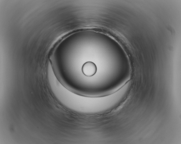 X0000113961457200910091619