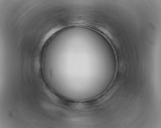 X0000113961458200910091619