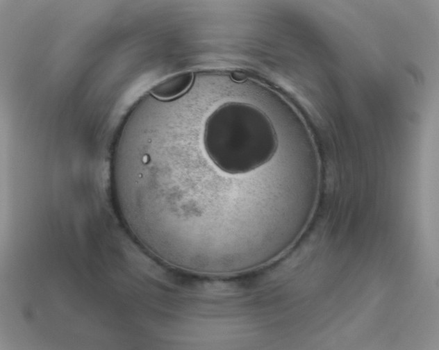 X0000113961459200910091619