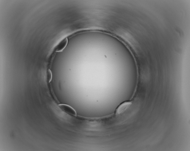 X0000113961460200910091619