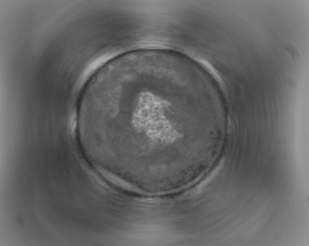 X0000113961461200910091619