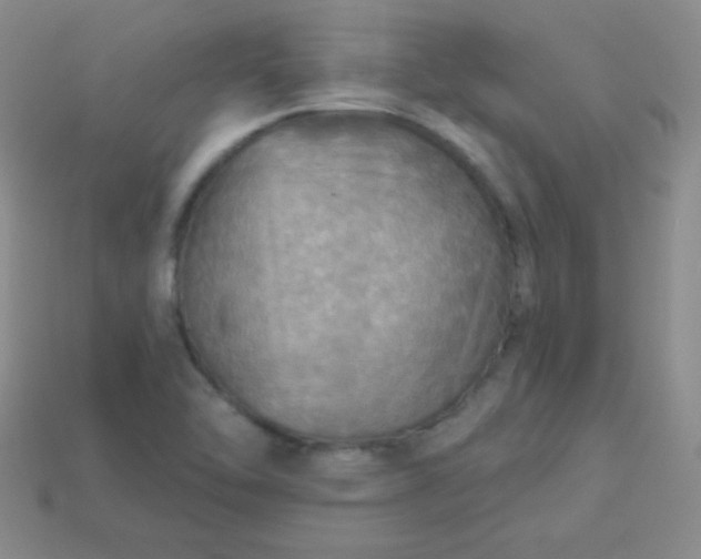 X0000113961462200910091619