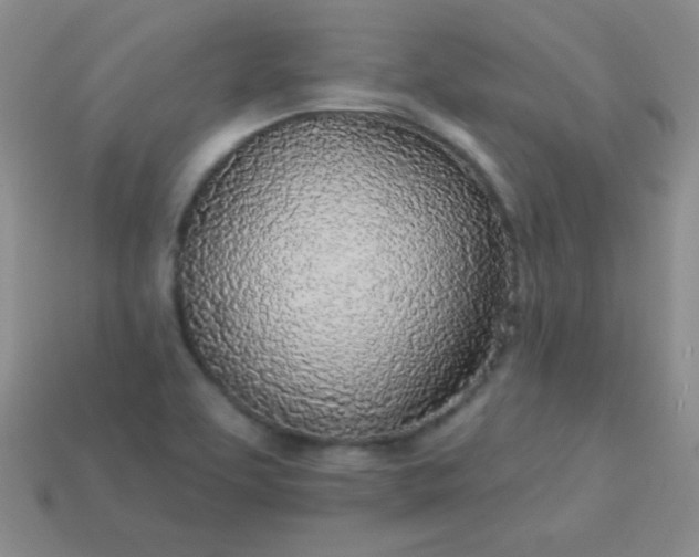 X0000113961463200910091619