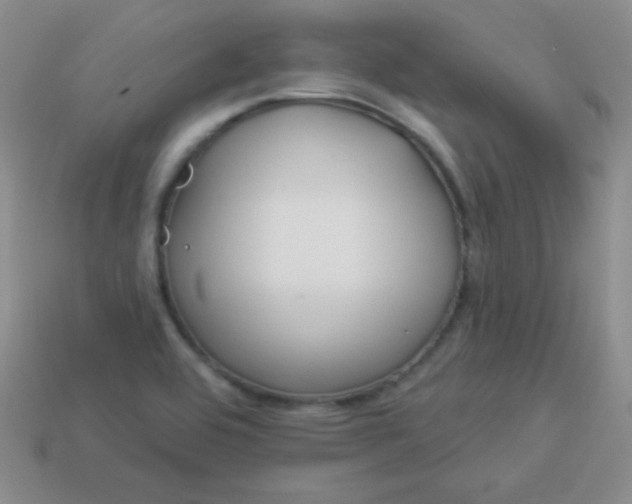 X0000113961464200910091619